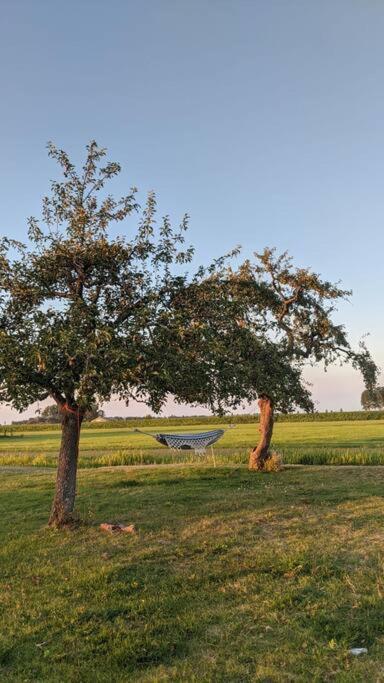 Cute Little Caravan For 2 In Old Orchard Hem Exteriér fotografie
